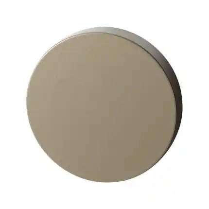 Merkproduct Blinde rozet 50×8 mm Champagne blend