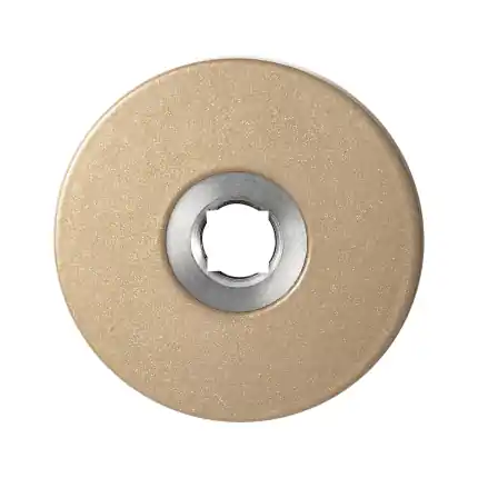 Bestel Nu Rozet 50×6 mm Champagne blend
