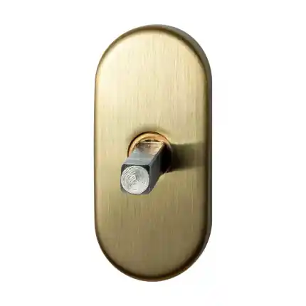 Korting DK ovaal 65x30x12 mm met DK stift 32 mm PVD mat messing