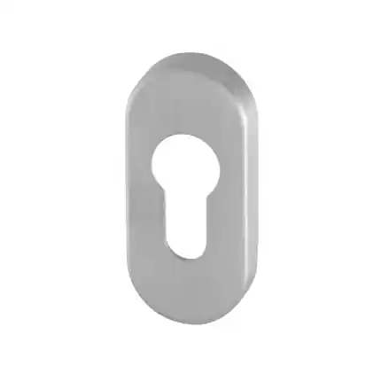 Lage Kosten Cilinderrozet ovaal 70x32x10mm RVS geborsteld