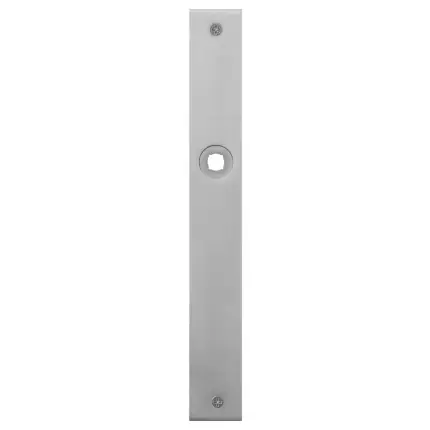 Finale Uitverkoop Plaatschild PC85 rechthoekig RVS geborsteld 240x30x2mm