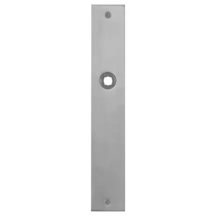 Plaatschild BB56 rechthoekig RVS geborsteld 240x40x2mm Laatste Kans