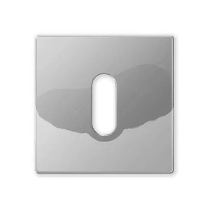Rechtstreeks Van De Fabrikant 1291/B sleutelrozet 50x6mm chrome