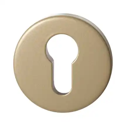 GPF9391.A4 Champagne blend ronde veiligheidsbuitenrozet Shop Nu