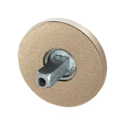 Nu Kopen rozet 50x6mm Champagne blend met vastgelaste knopvastzetter
