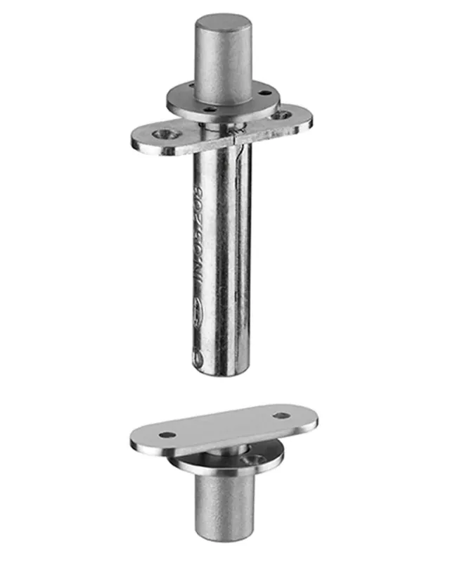 Pivot/taatsscharnier tot 65KG RVS Meest Verkocht