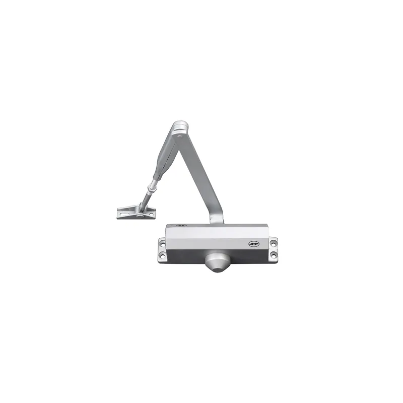 Speciale Aanbieding Deurdranger met standaard arm max 80KG