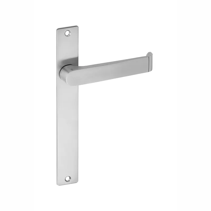 Deurkruk op Langschild blind h=22mm RVS Meest Verkocht