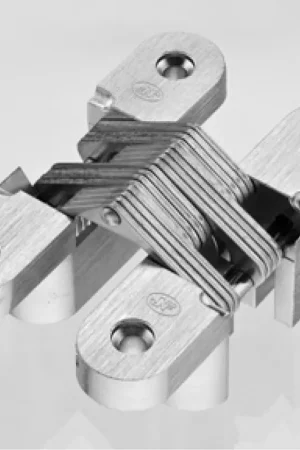 Beperkte Voorraad Onzichtbaar Scharnier onverstelbaar 95x19mm RVS