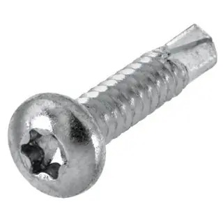 Actieprijs PLAATSCHROEF GEG. CK 4.8X25MM