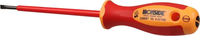 Laatste Kans SCHROEVENDRAAIER SLEUF 4.0X100MM