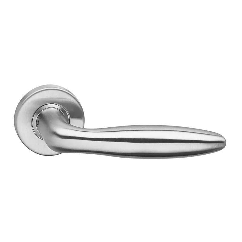 Intersteel Deurkruk Jupiter op rozet met ring met veer rvs geborsteld Betaalbaar