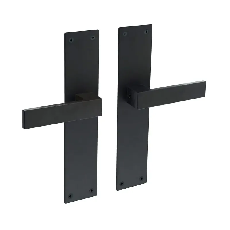 Bestseller Intersteel Deurkruk Amsterdam met schild 250x55x2mm zwart