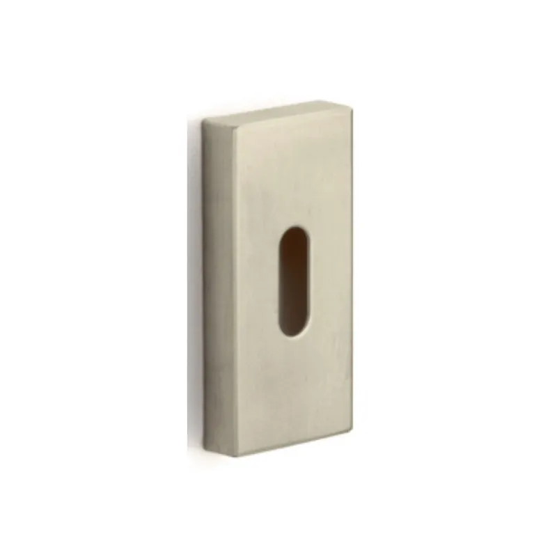 Meest Verkocht Formani Sleutelplaatje LSQBN32 70mm PVD Champagne