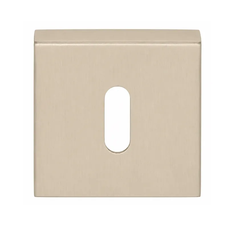 Uitverkoop Formani Sleutelplaatje BASIC BSQN53 PVD Champagne