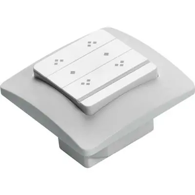 Seizoensaanbieding Entrya Suno RW2 ontvanger 433MHz met 2 kanalen