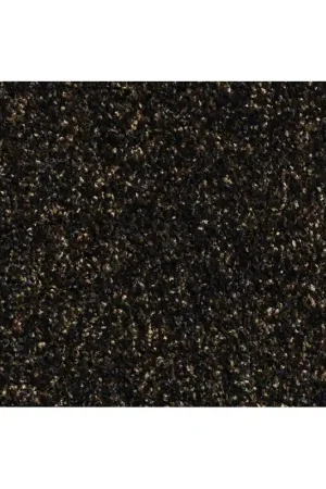 schoonloopmat zwart polyamide Laatste Versie