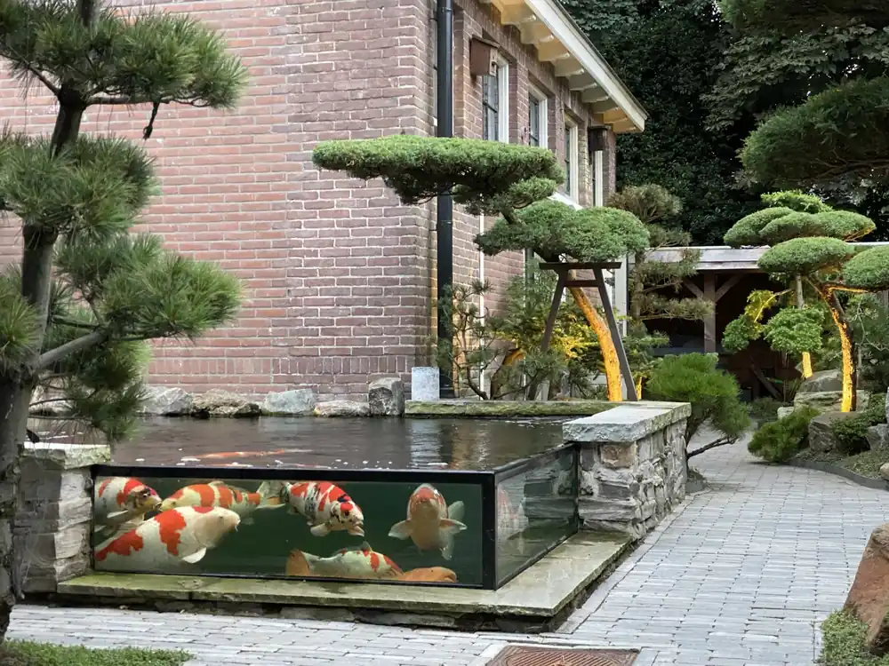 Actieprijs Vijverbeglazing